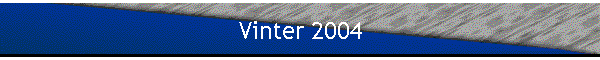 Vinter 2004